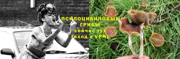 гидропоника Белокуриха