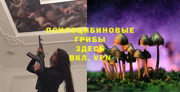спиды Беломорск