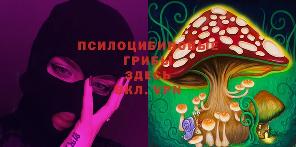 спиды Беломорск