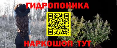 мдпв Партизанск