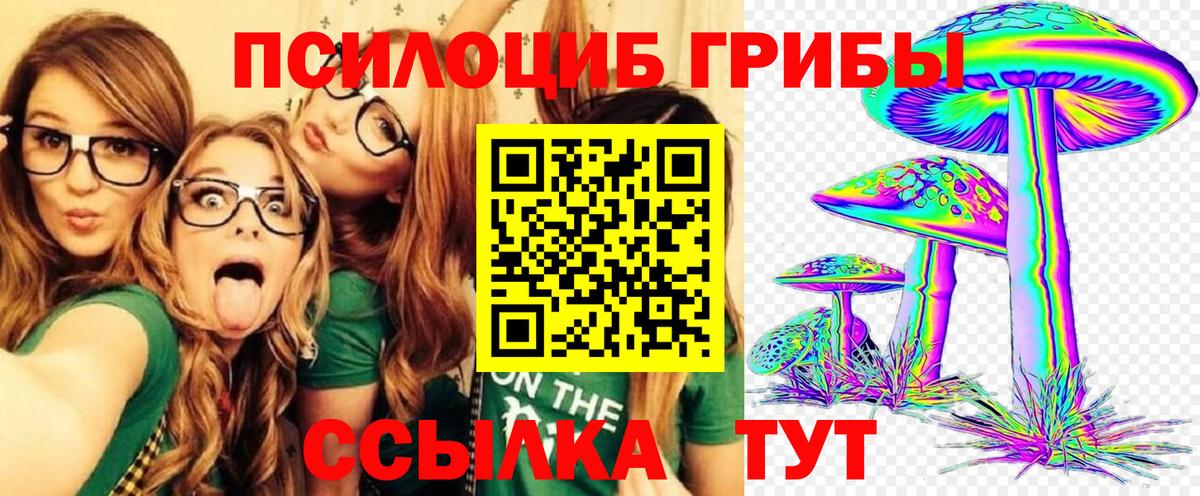 Галлюциногенные грибы MAGIC MUSHROOMS  Вход с VPN  Реж 