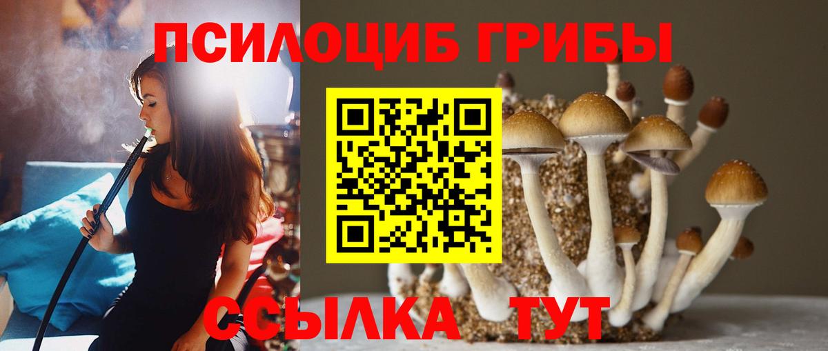Галлюциногенные грибы мицелий Реж